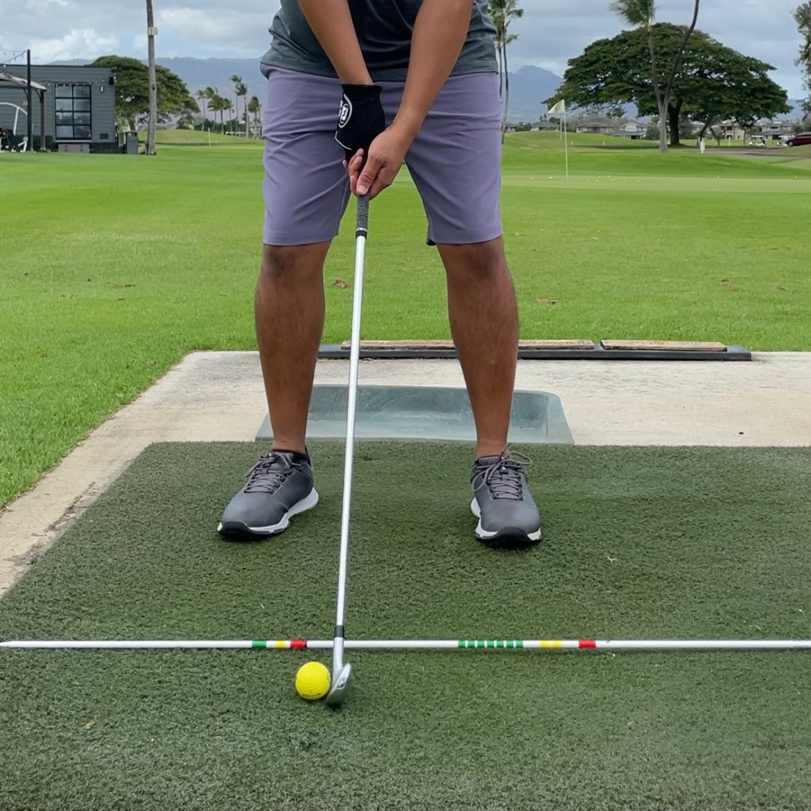 Adult Full Swing Stick